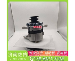 甘肃5267909起动机15196041发电机 康明斯 潍柴 WP4.1 中国重汽 豪沃T7H 潍柴 WP9 柳工（LiuGong）压路机 徐工挖机重卡矿车潍柴WP4 神钢 SK330 J08E 启动机