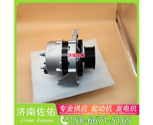 甘肃发电机 1001828445启动机3103950 XCMG XR120 WP10